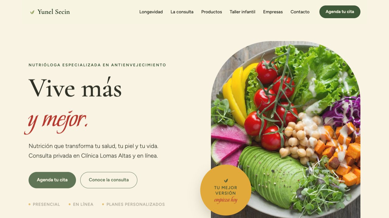 Sitio web de Yunel Secin